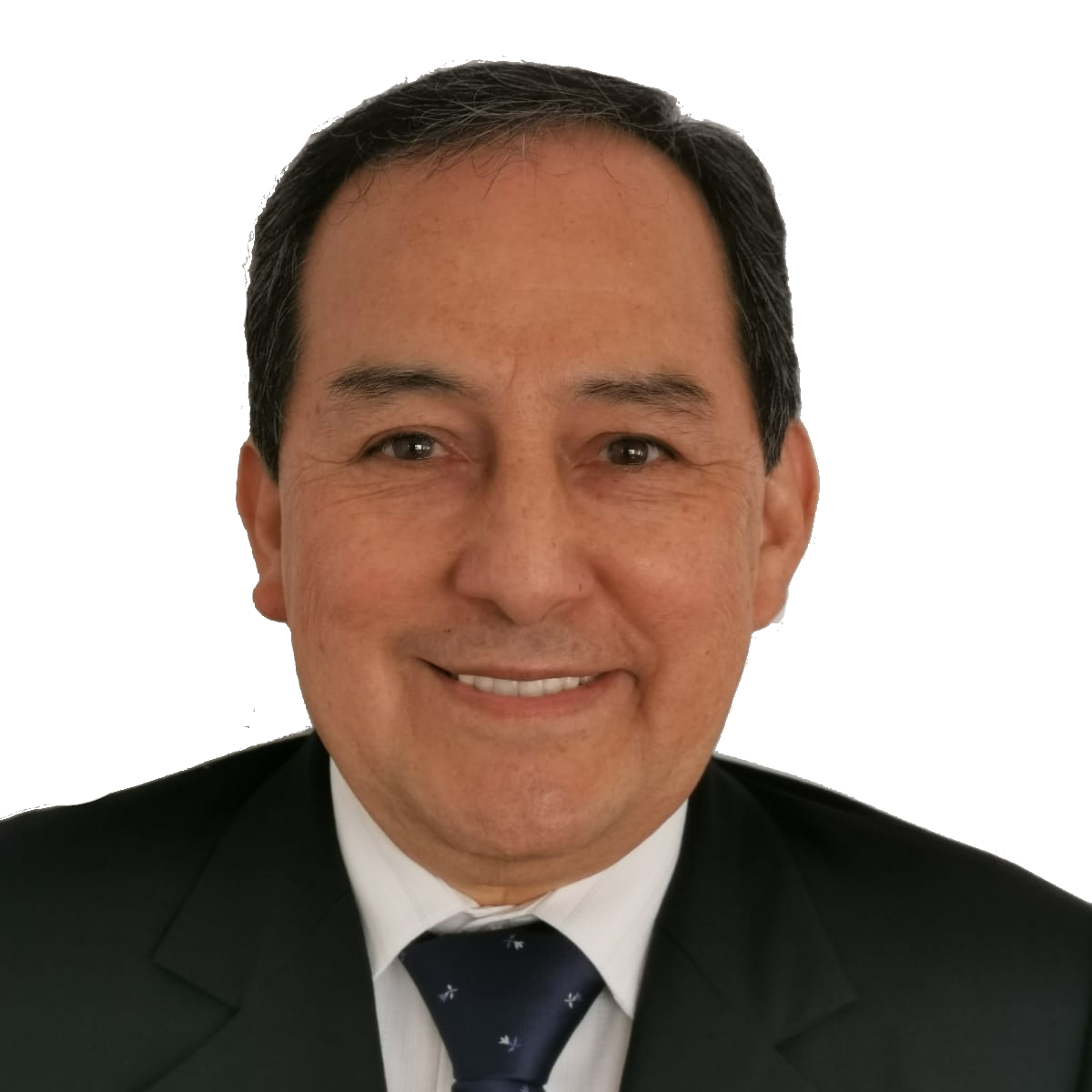 Ing. Sergio Ochoa